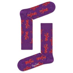 Paars Archieven - King of Socks